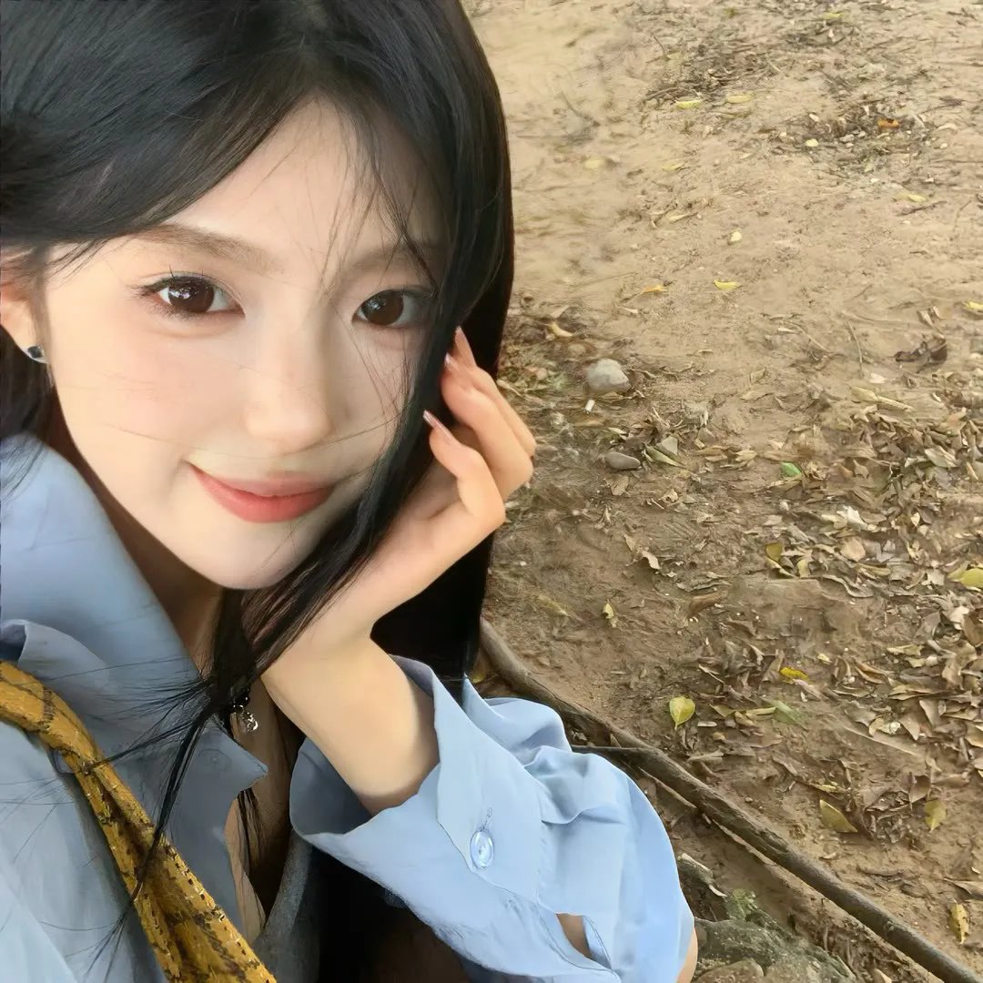 一棵树的纠纷